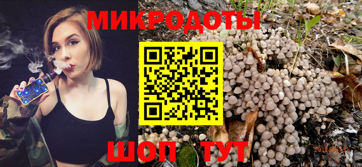 Галлюциногенные грибы MAGIC MUSHROOMS  Псилоцибиновые грибы GOLDEN TEACHER  Вход с VPN  Тында 
